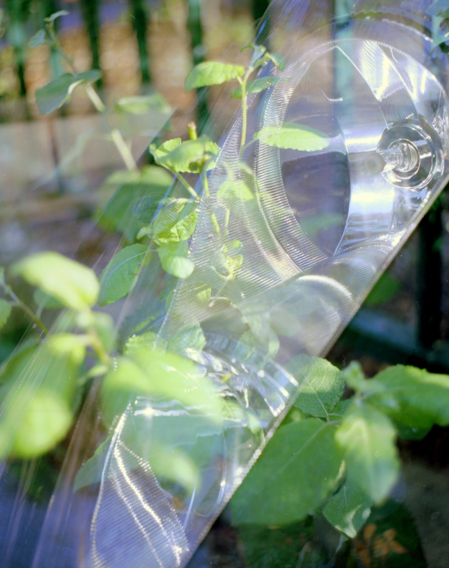 Philippe Durand - Foliages