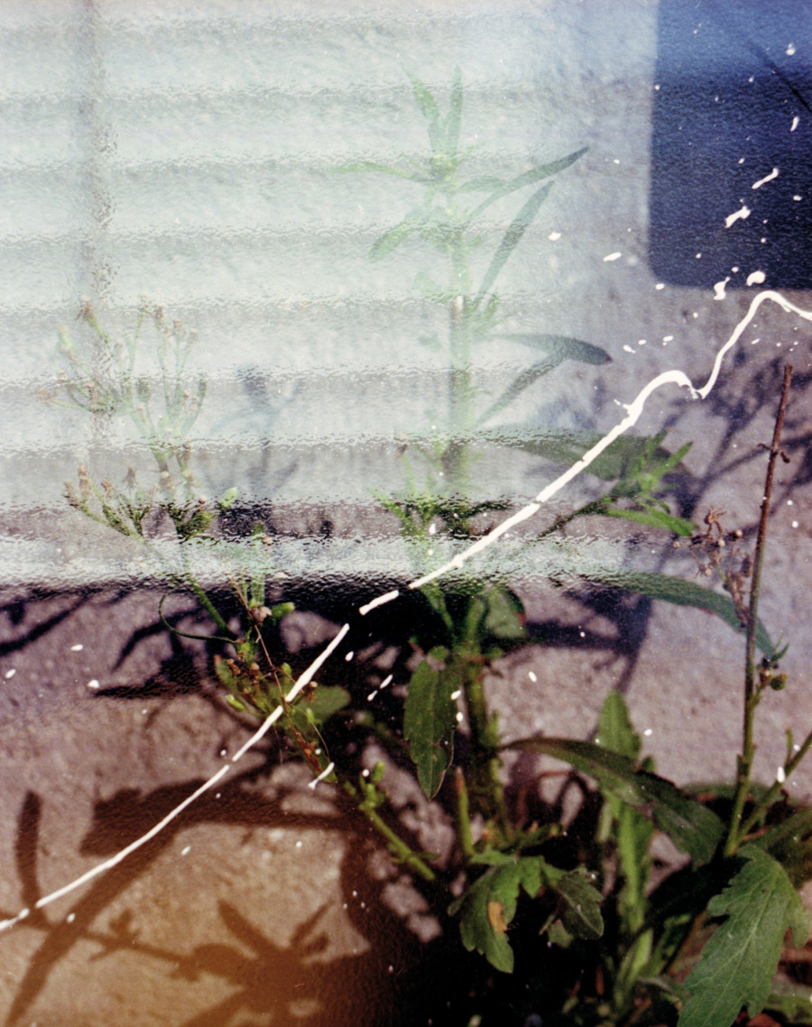 Philippe Durand - Foliages