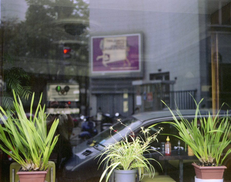 Philippe Durand - Foliages