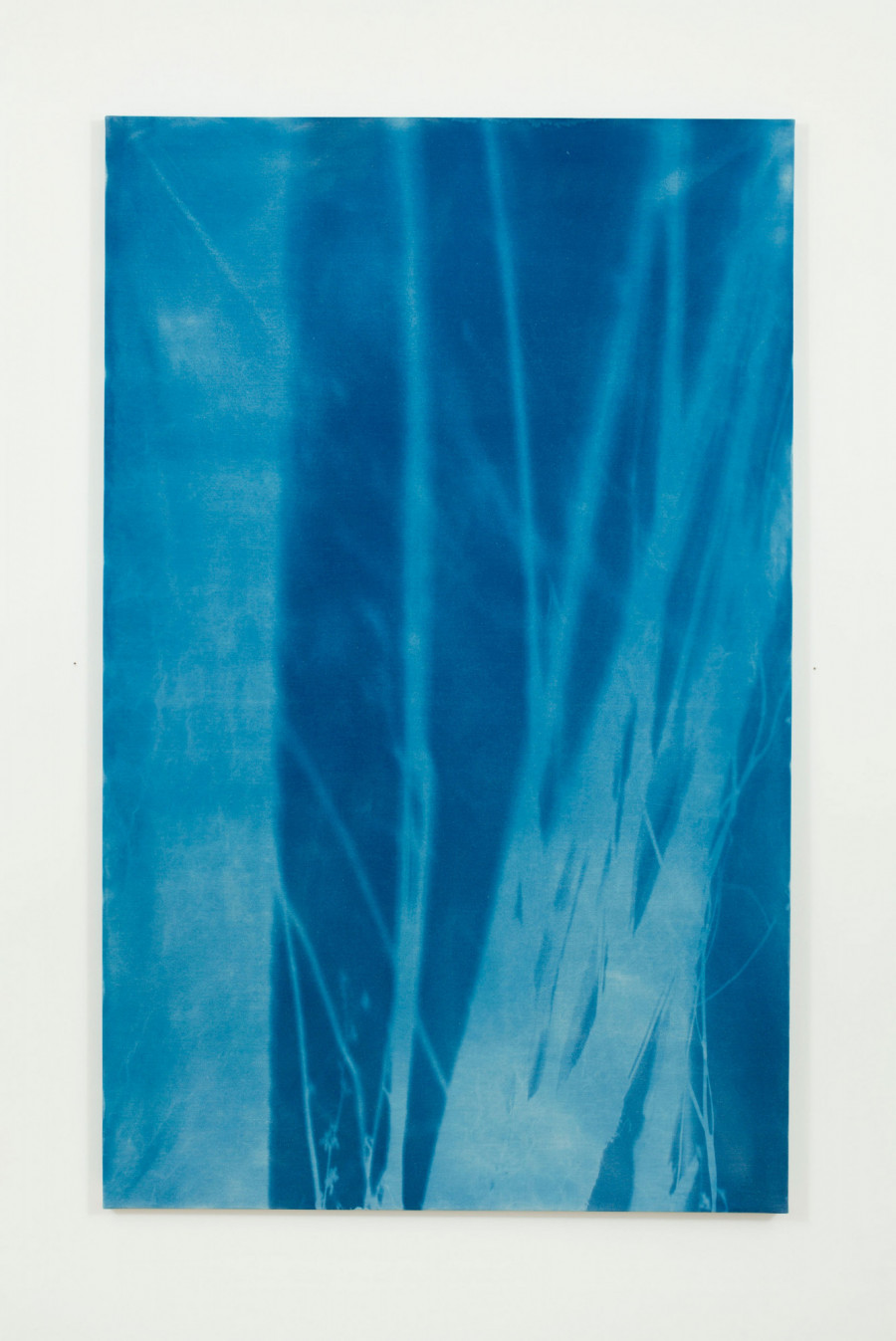 Philippe Durand - Forêts