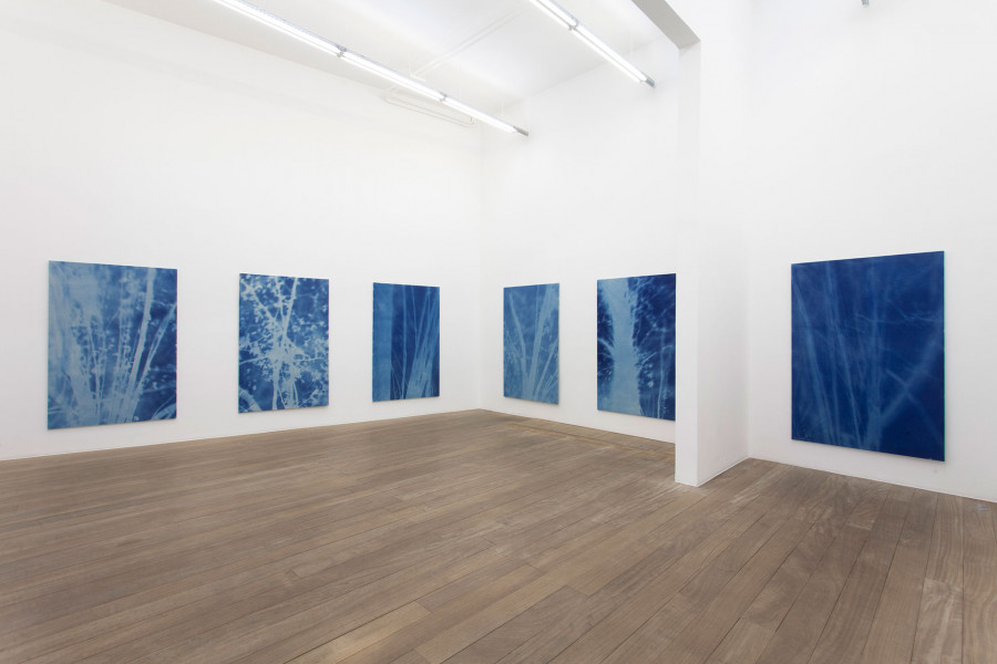 Philippe Durand - Forêts