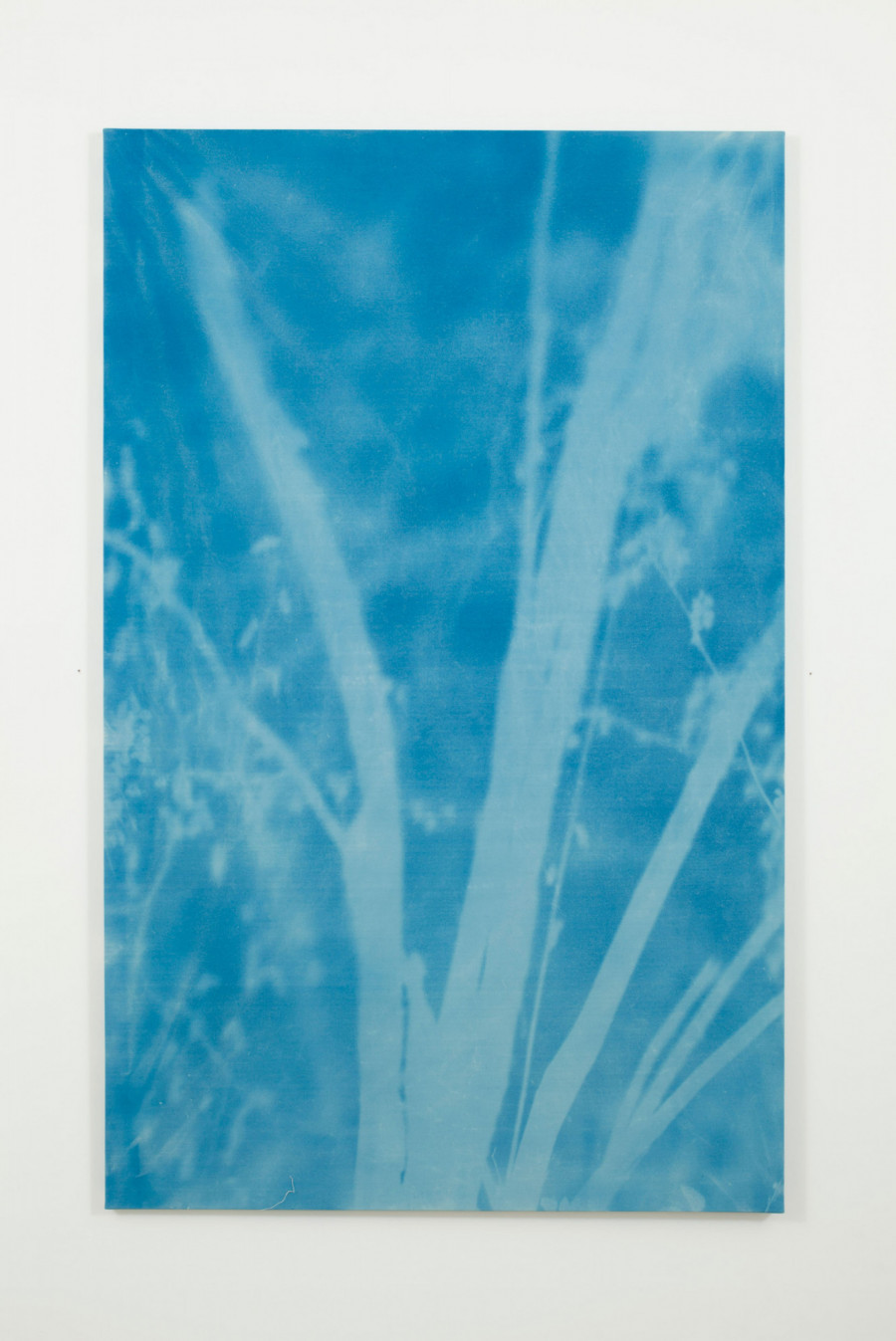 Philippe Durand - Forêts