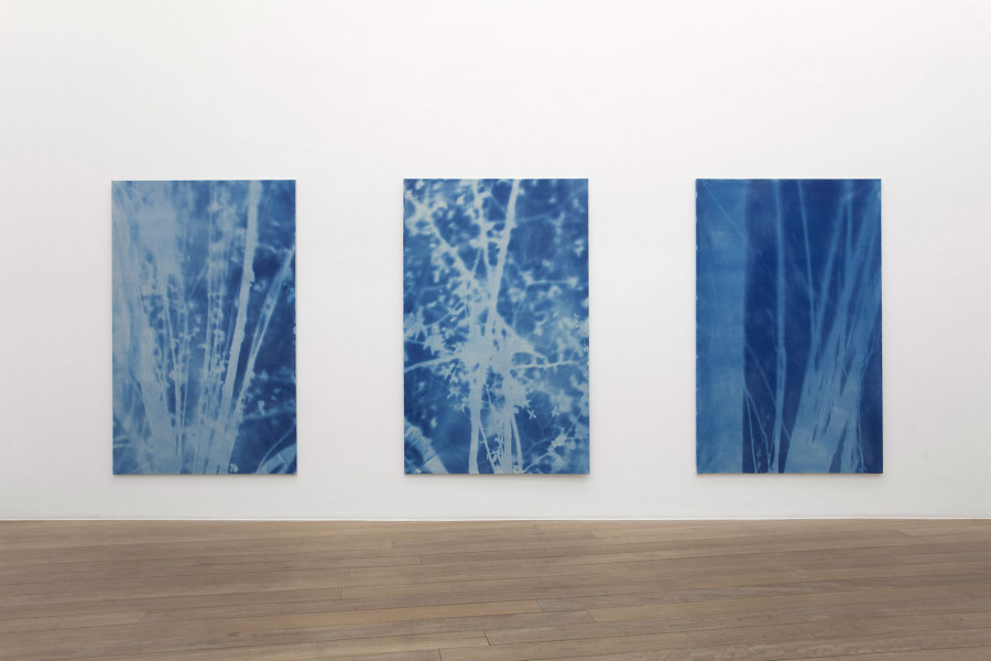 Philippe Durand - Forêts