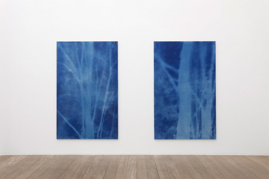 Philippe Durand - Forêts