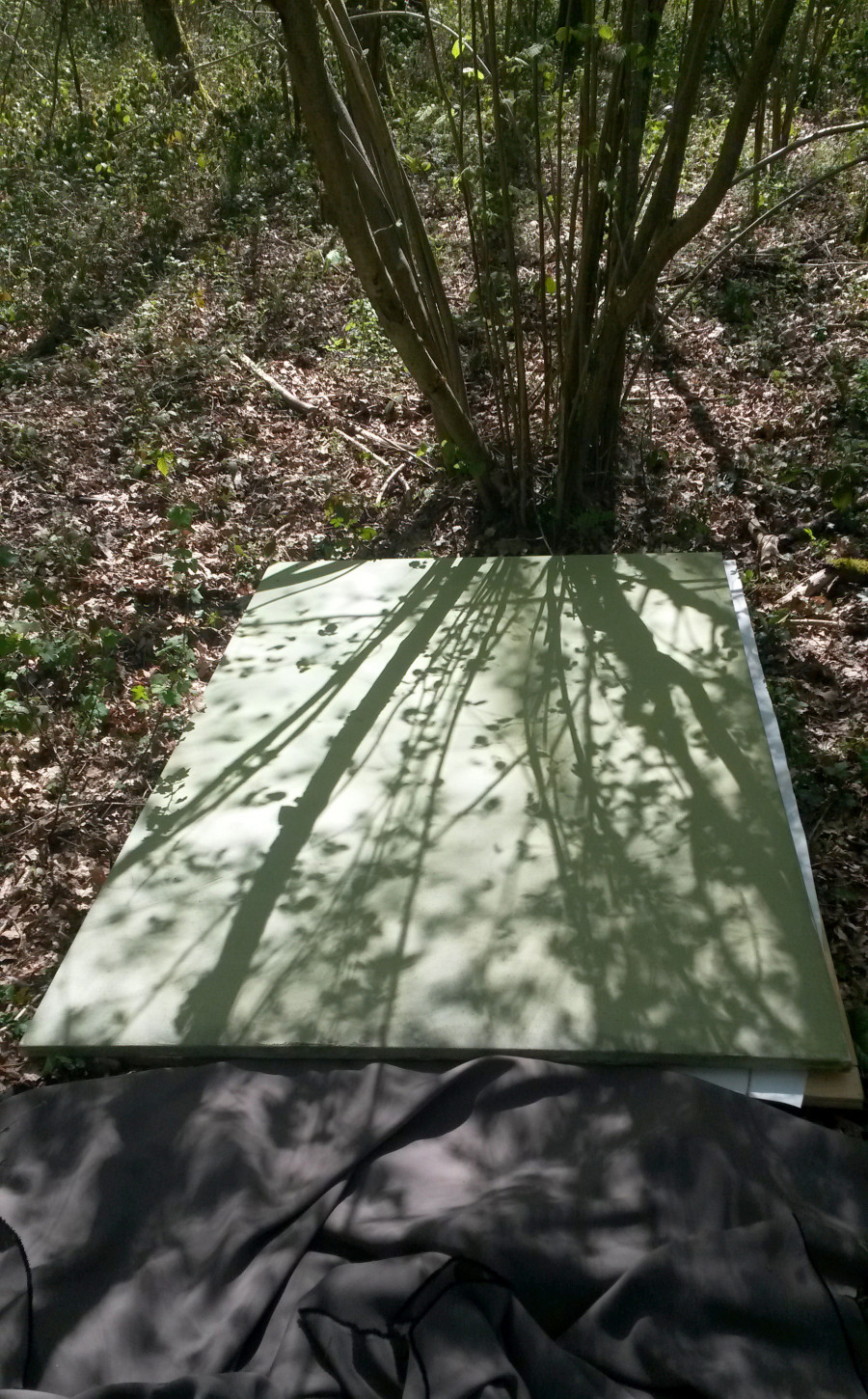 Philippe Durand - Forêts