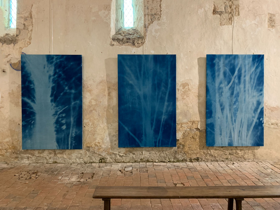 Philippe Durand - Forêts