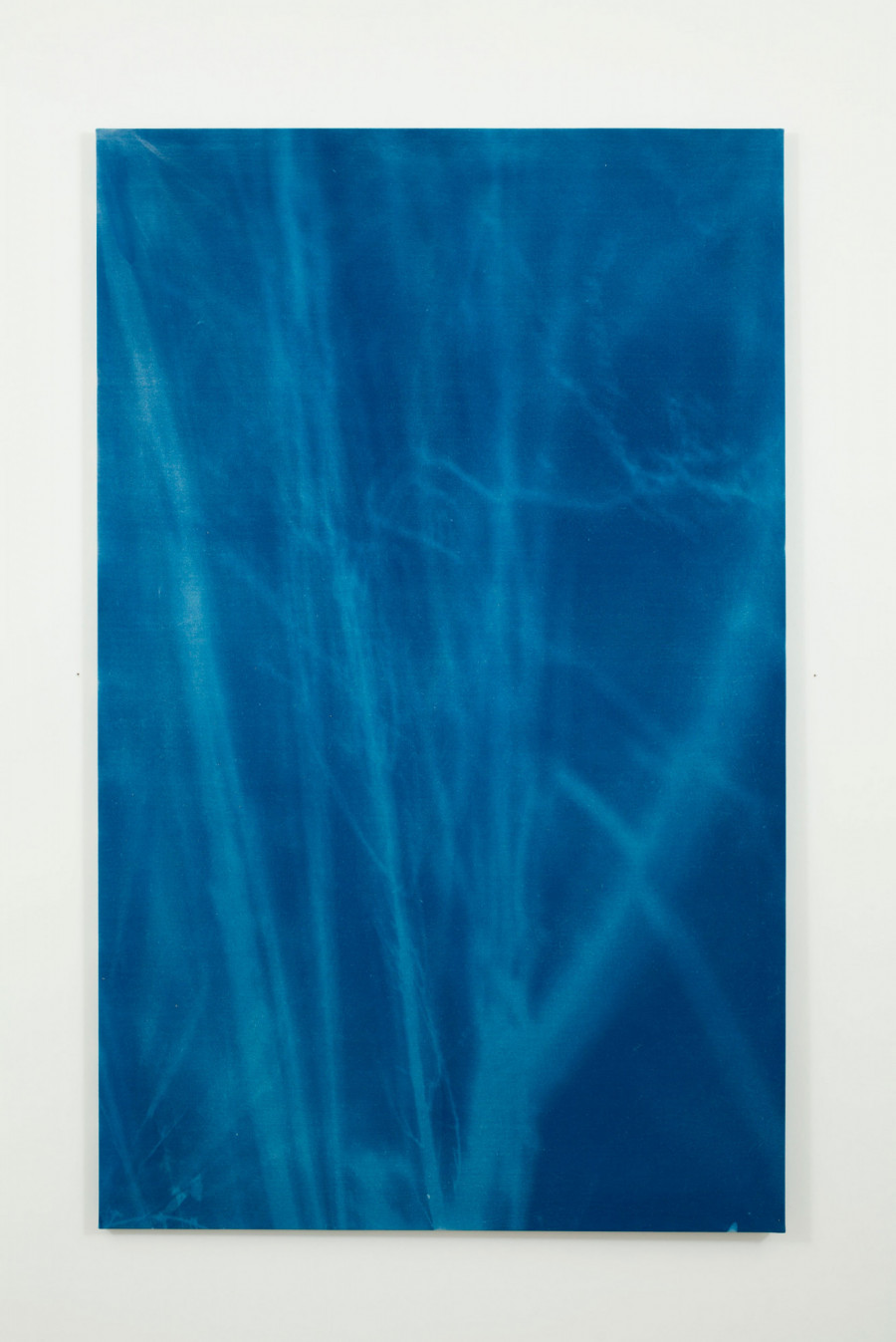 Philippe Durand - Forêts