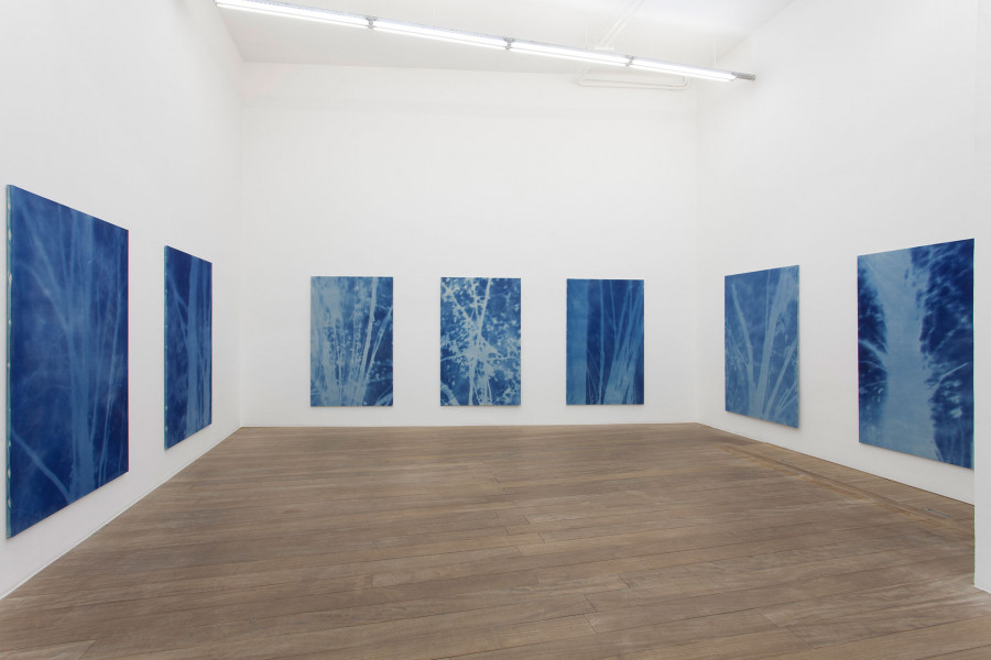 Philippe Durand - Forêts