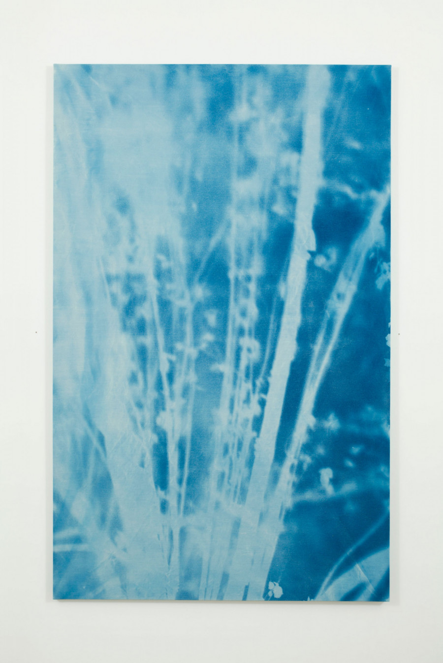 Philippe Durand - Forêts