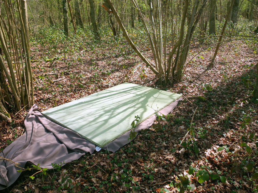 Philippe Durand - Forêts