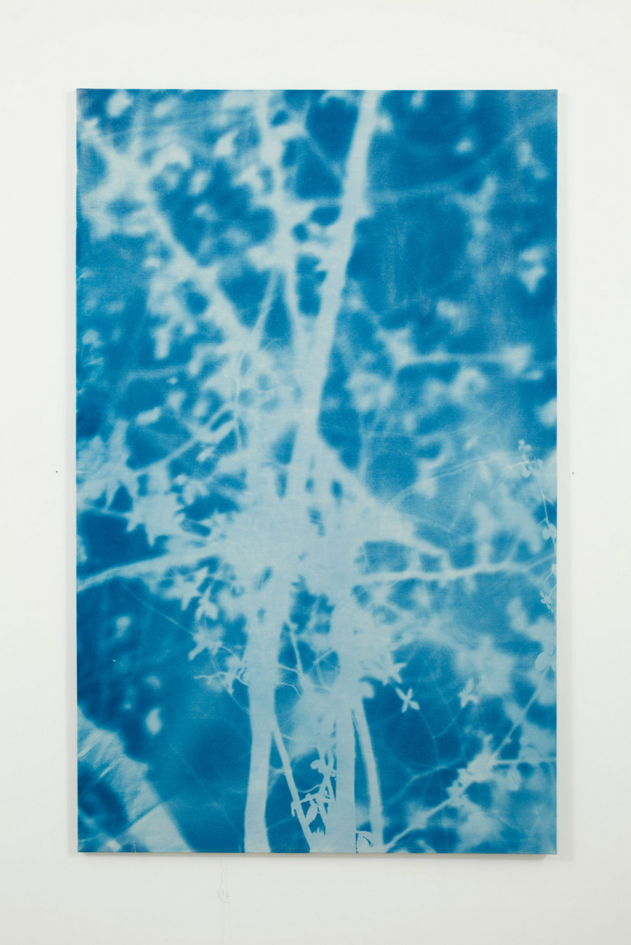 Philippe Durand - Forêts