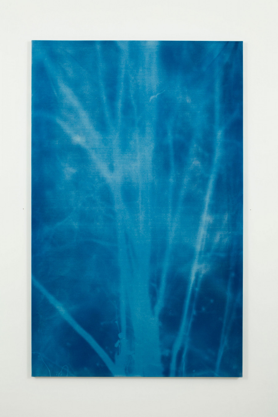 Philippe Durand - Forêts