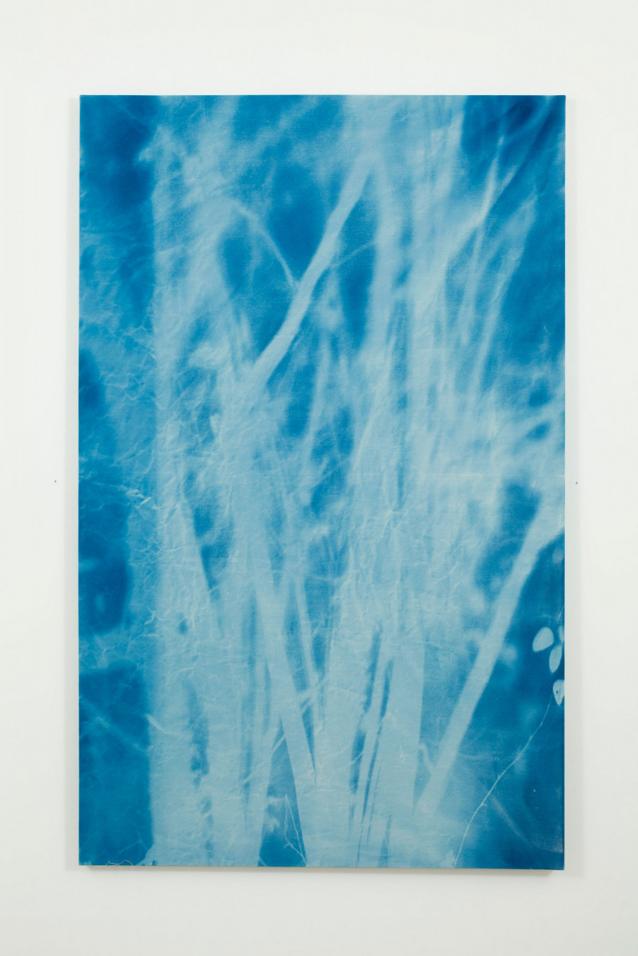 Philippe Durand - Forêts