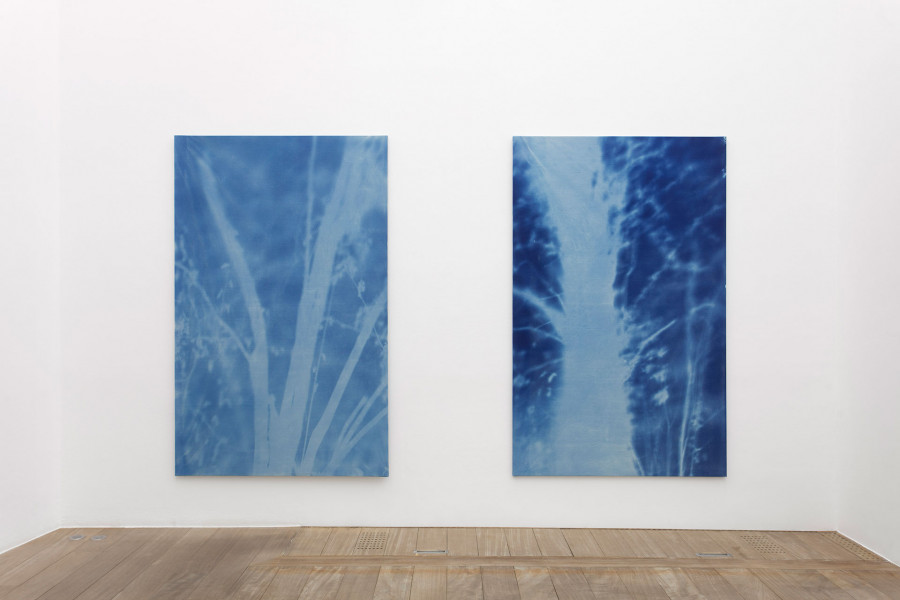 Philippe Durand - Forêts