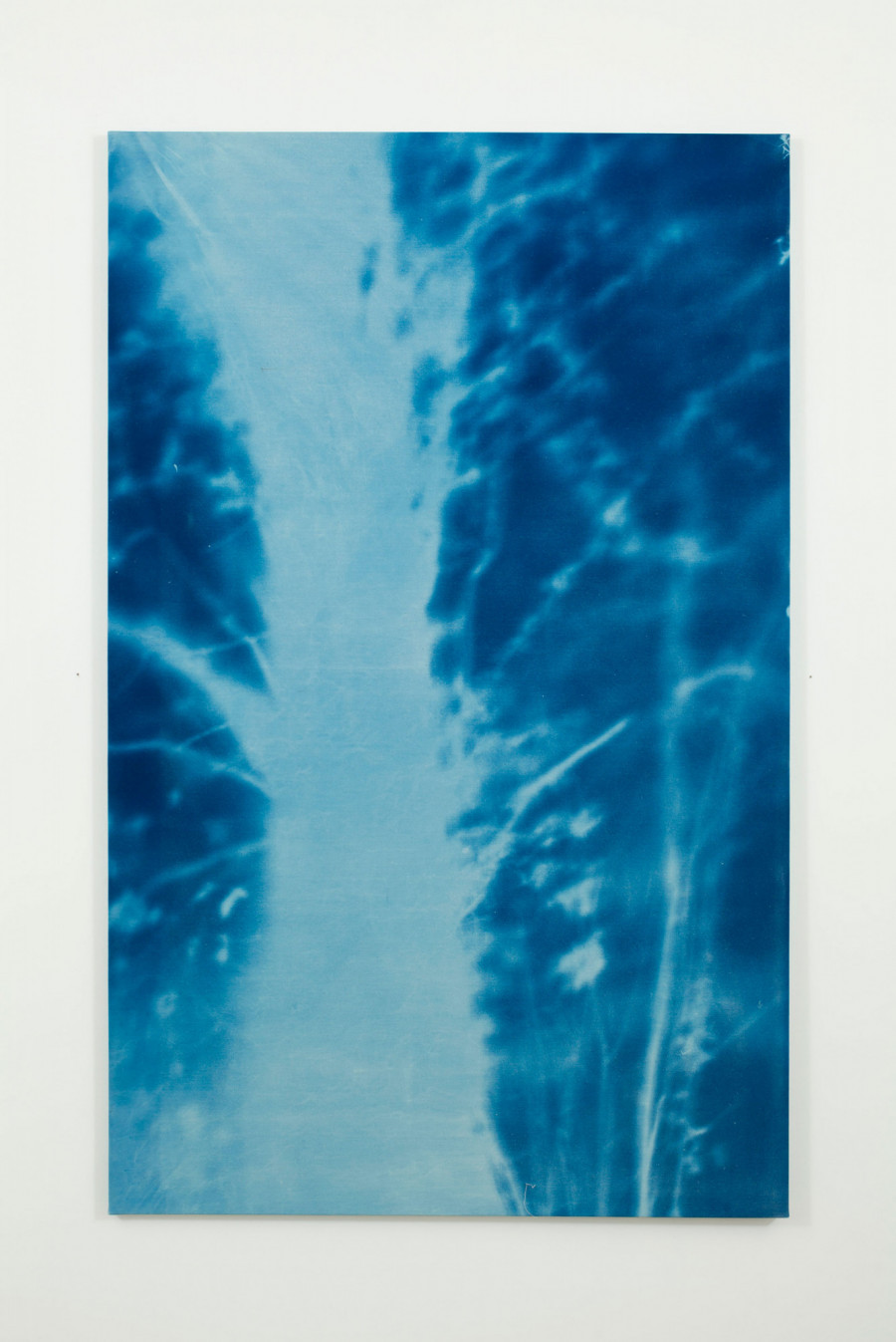 Philippe Durand - Forêts