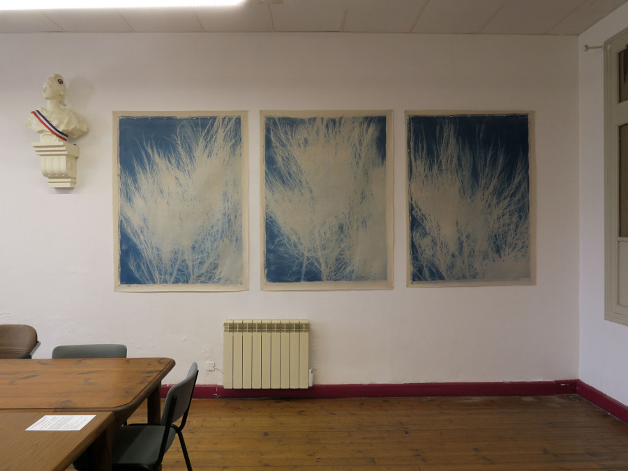 Philippe Durand - Genêts