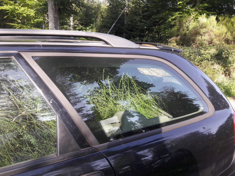 Philippe Durand - Genêts