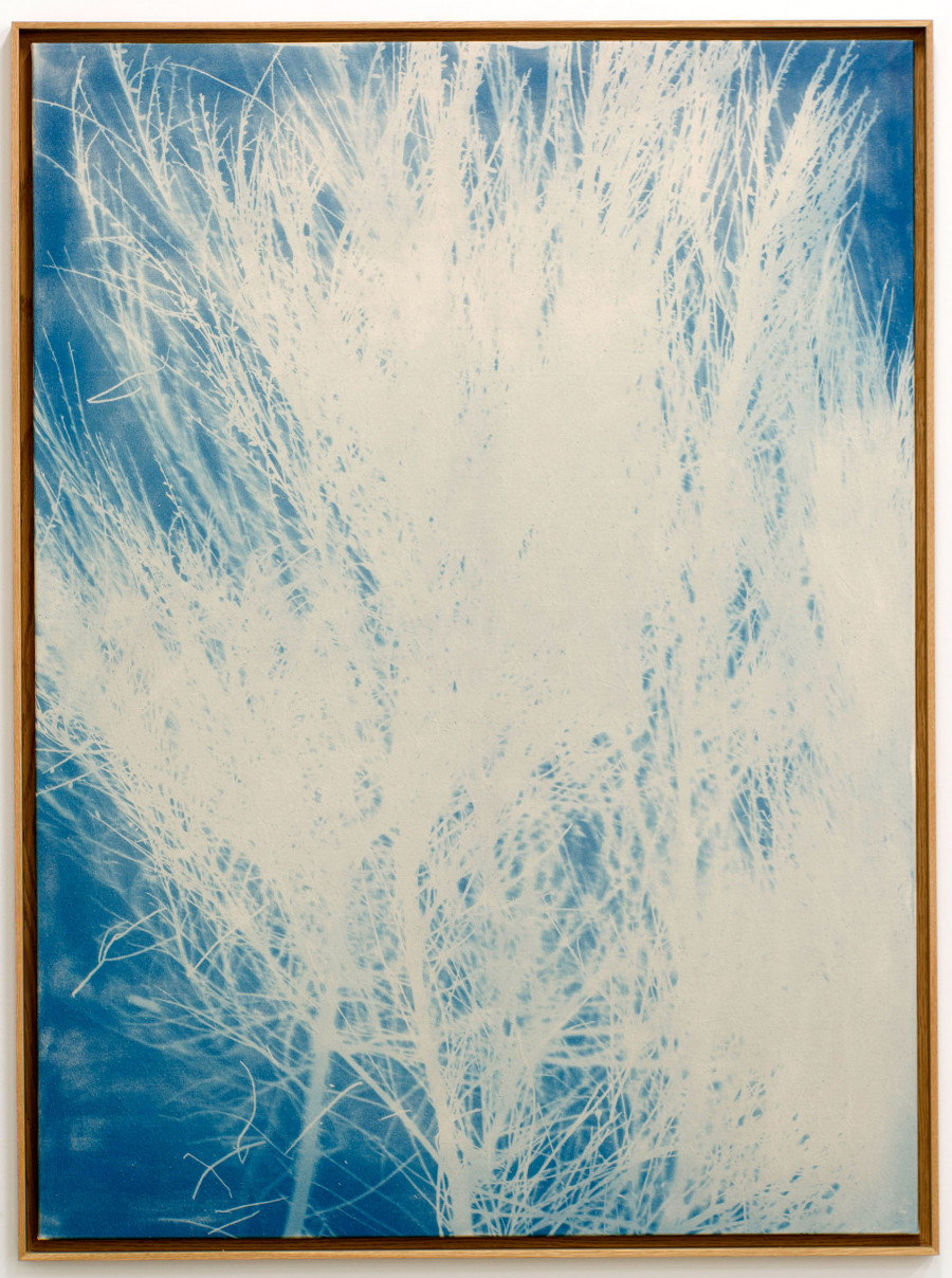 Philippe Durand - Genêts