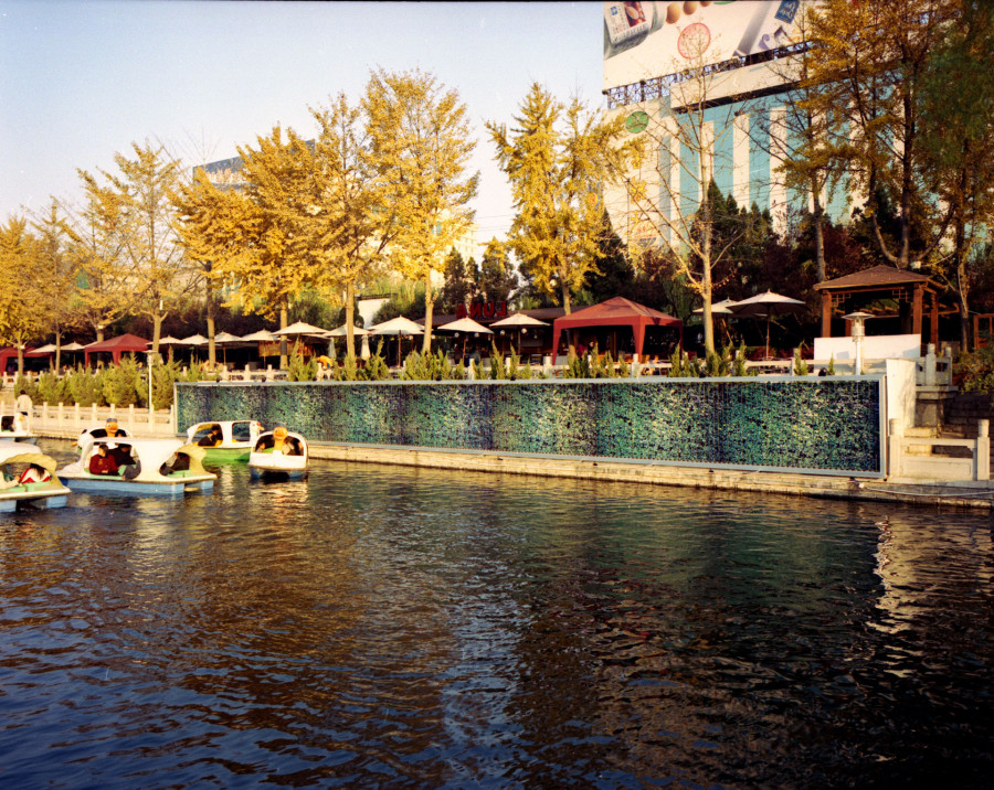 Philippe Durand - Haie mécanique