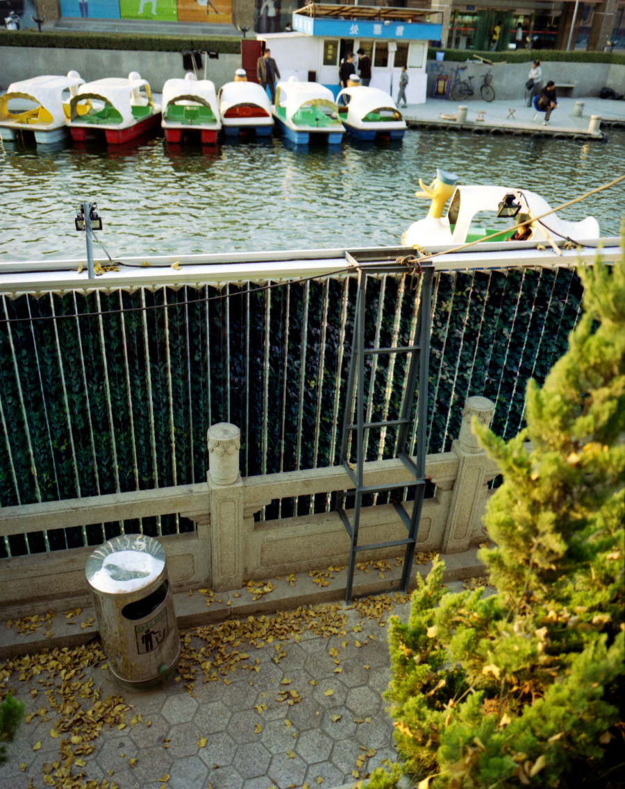 Philippe Durand - Haie mécanique