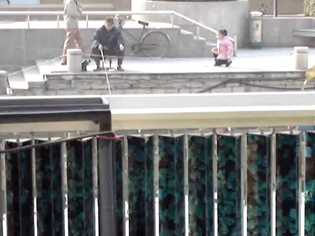 Philippe Durand - Haie mécanique