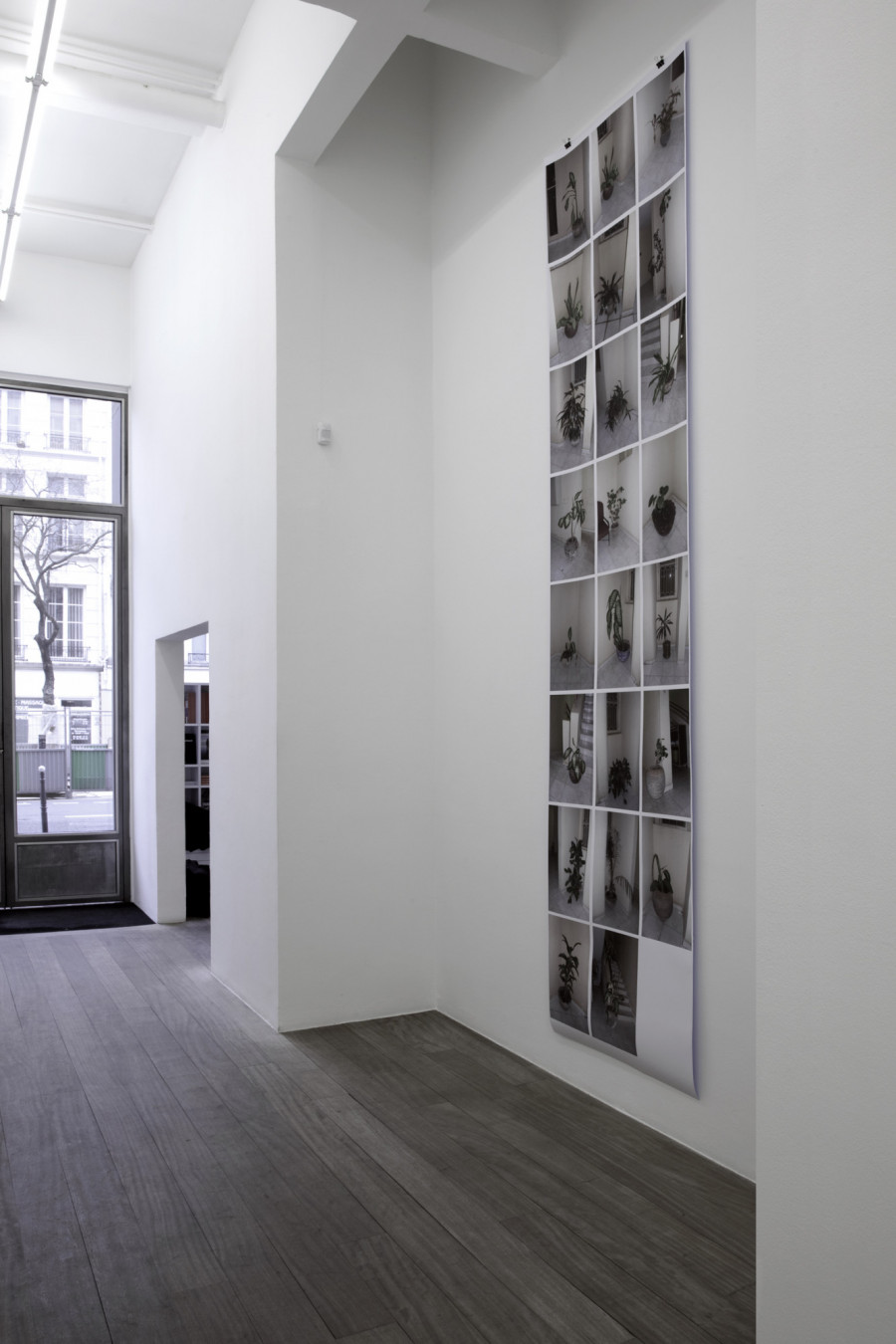 Philippe Durand - Toutes les plantes de l'Hôtel Mandé