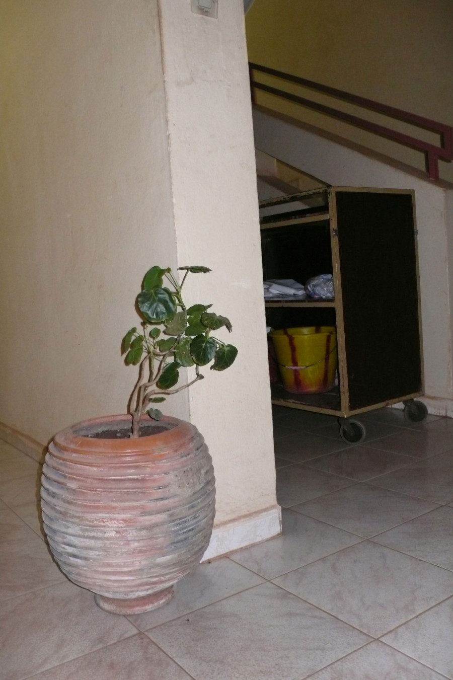 Philippe Durand - Toutes les plantes de l'Hôtel Mandé