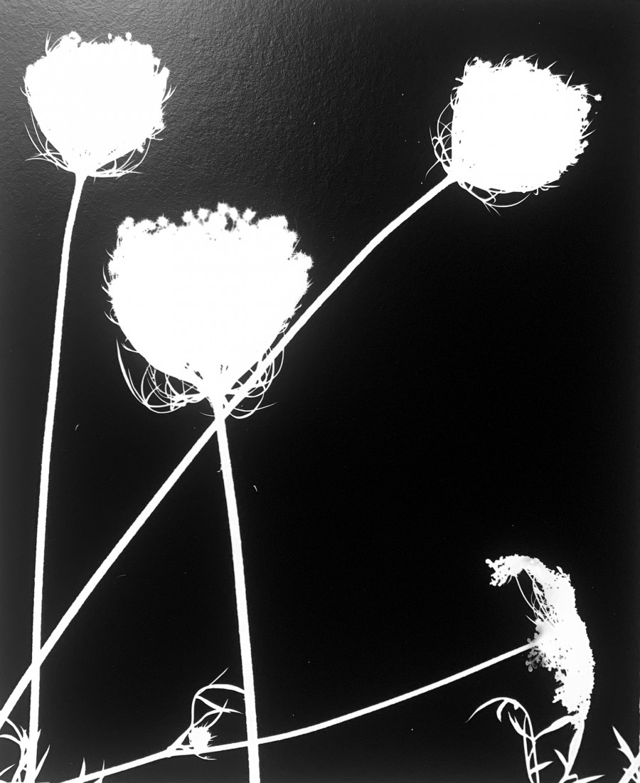 Philippe Durand - Le pré