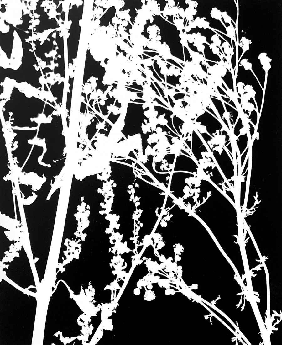 Philippe Durand - Le pré