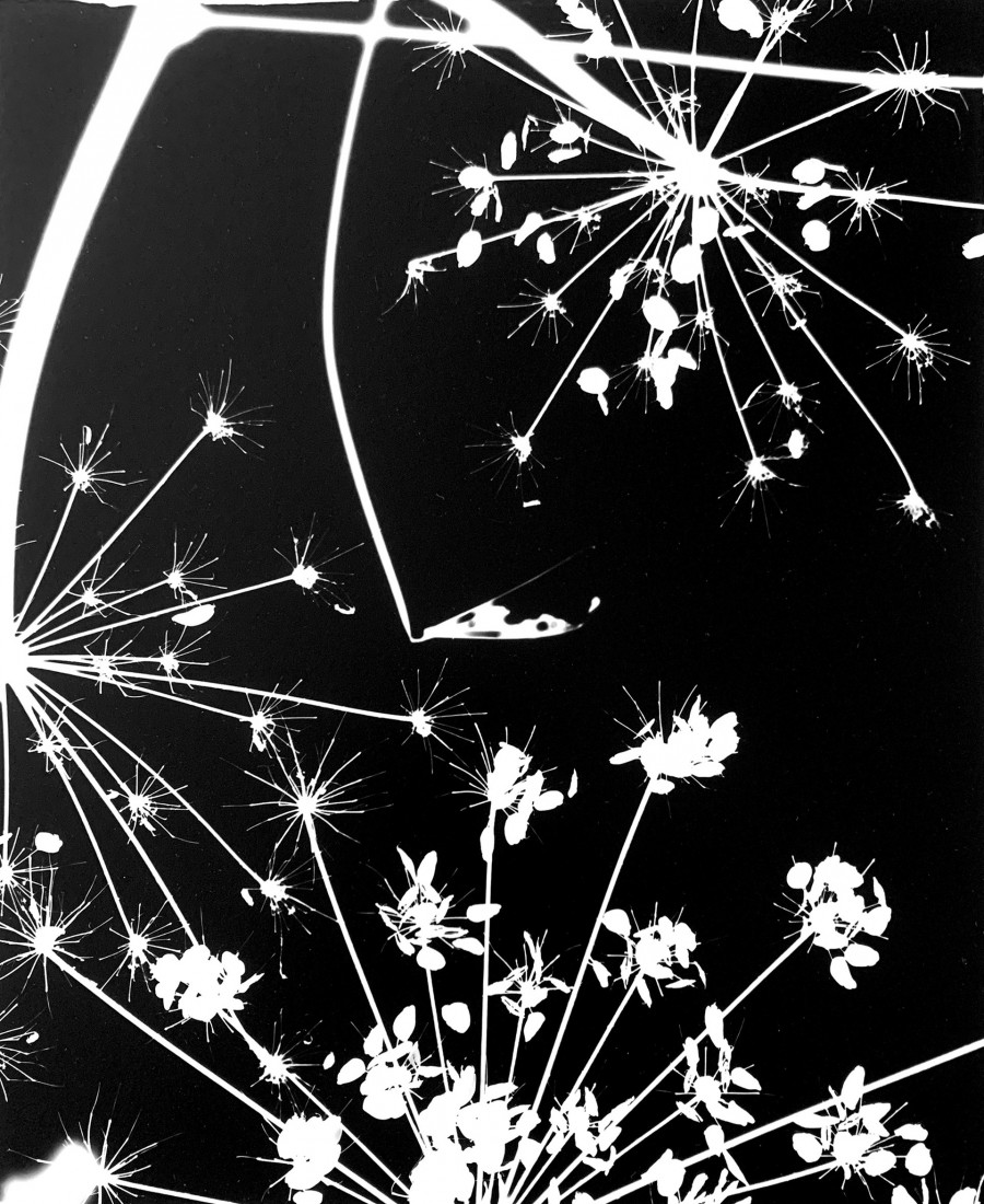 Philippe Durand - Le pré