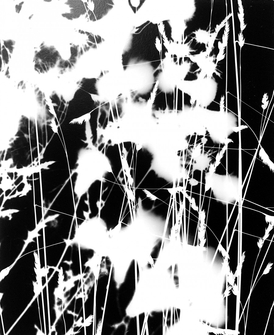 Philippe Durand - Le pré