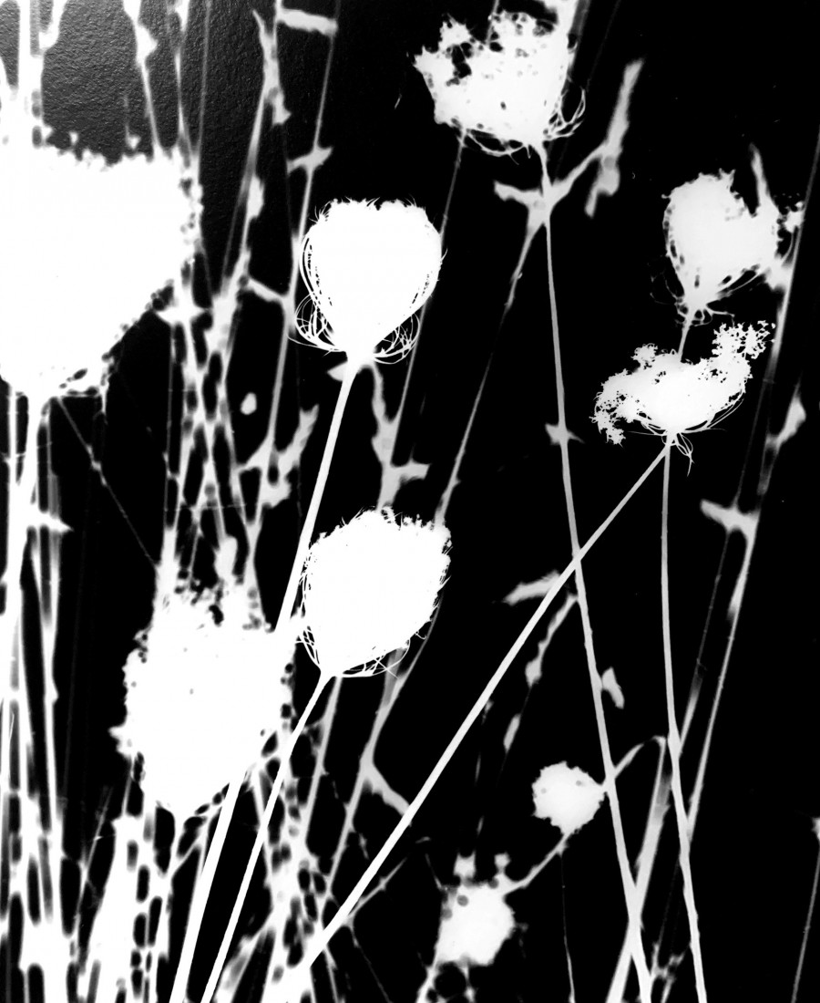 Philippe Durand - Le pré