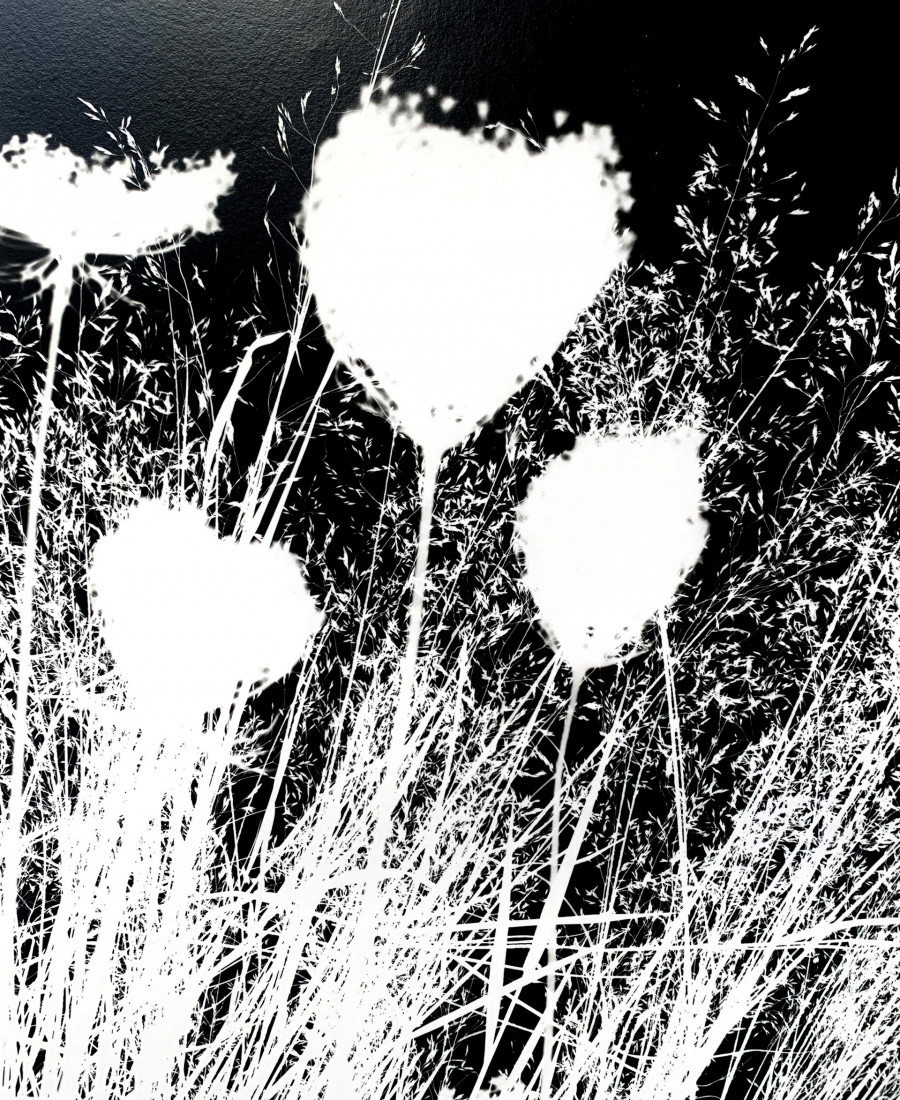 Philippe Durand - Le pré