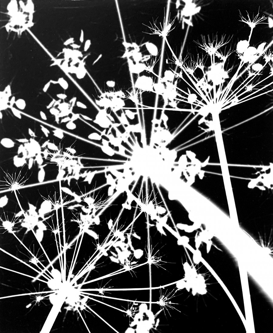 Philippe Durand - Le pré