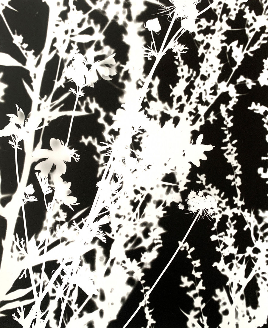 Philippe Durand - Le pré