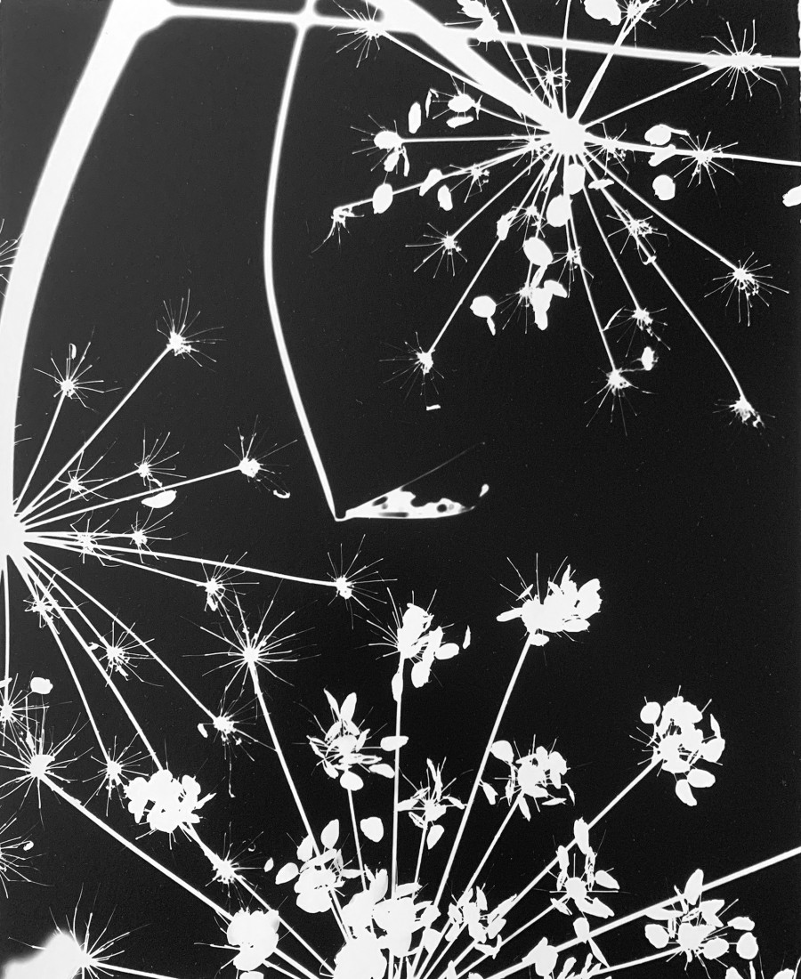 Philippe Durand - Le pré