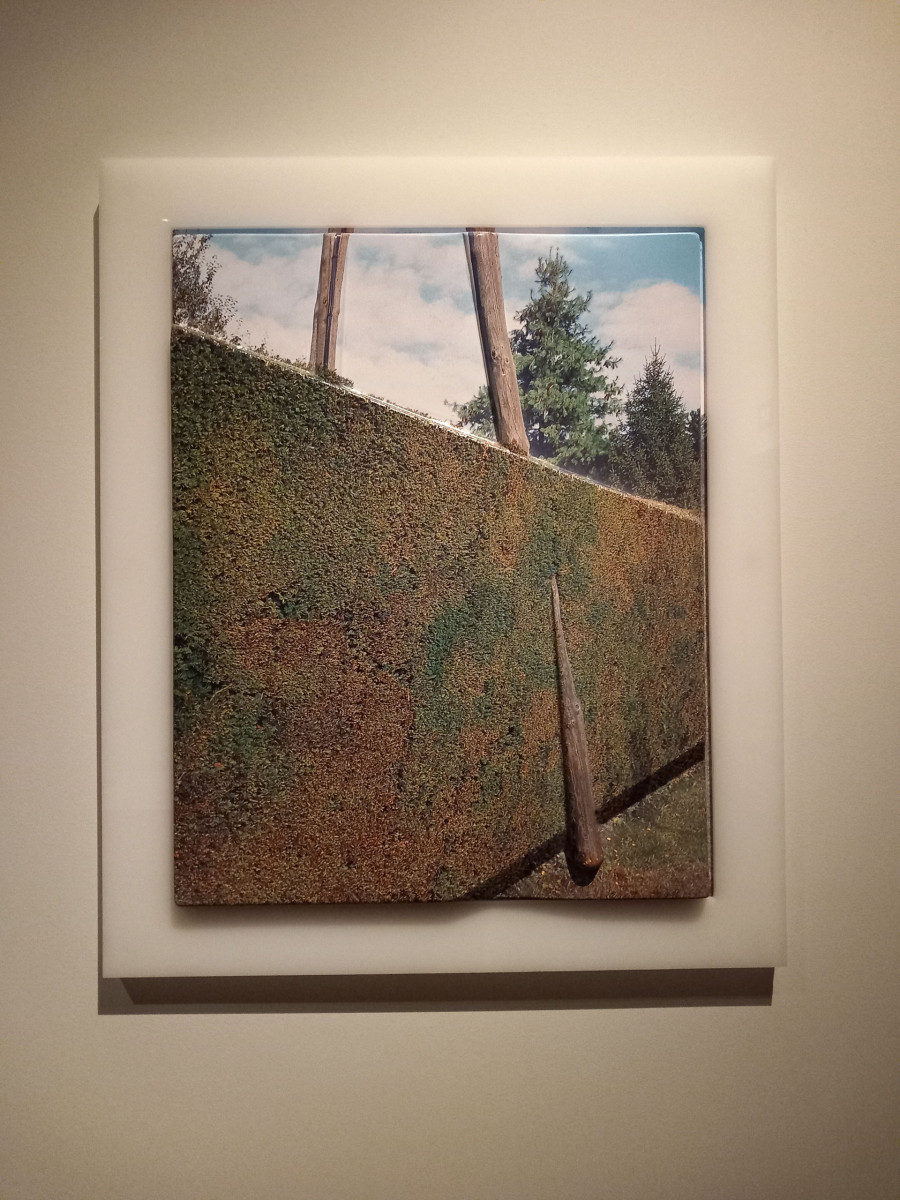 Philippe Durand - Mon grand Épagny