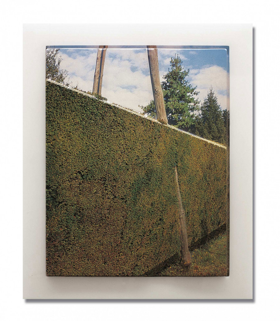 Philippe Durand - Mon grand Épagny