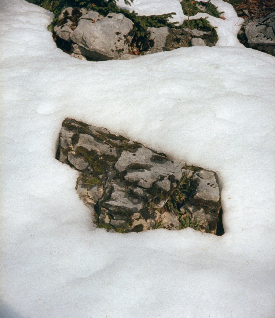 Philippe Durand - Neiges