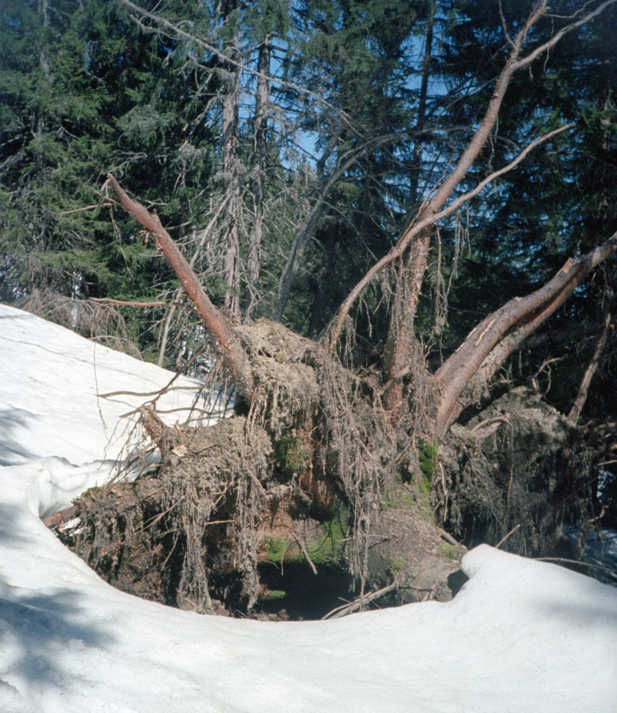 Philippe Durand - Neiges
