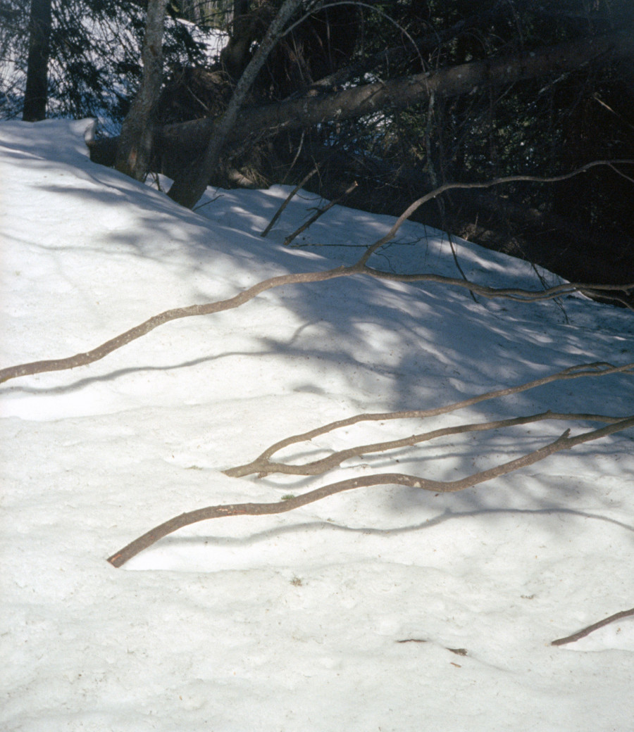 Philippe Durand - Neiges