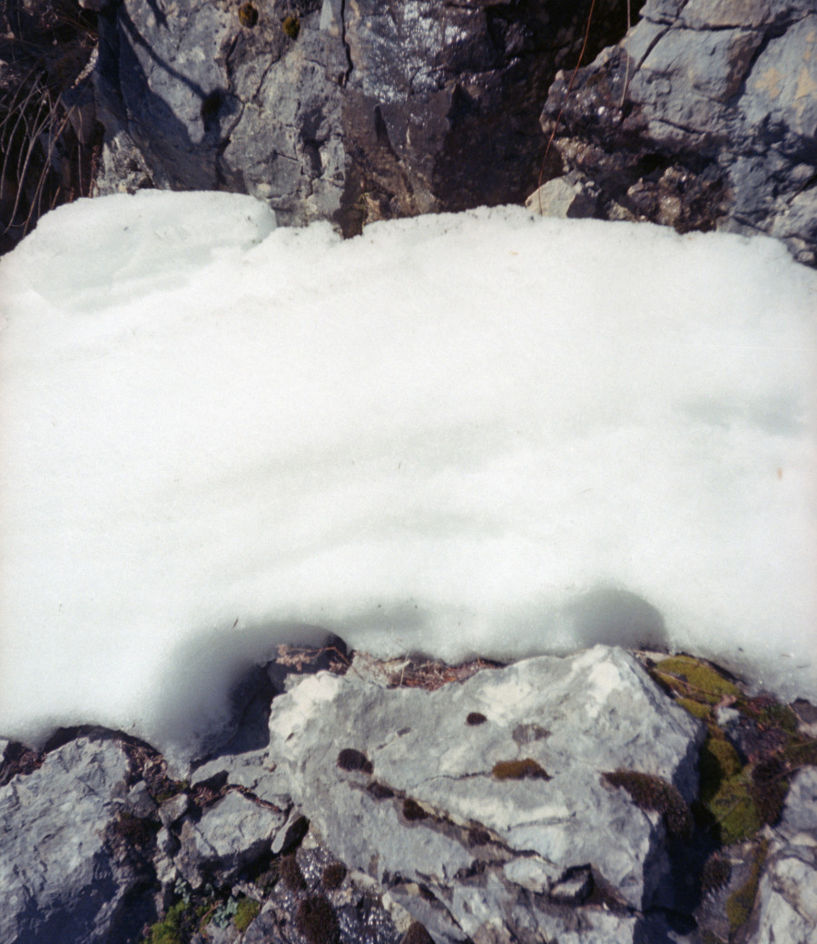 Philippe Durand - Neiges