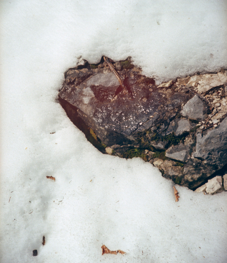 Philippe Durand - Neiges