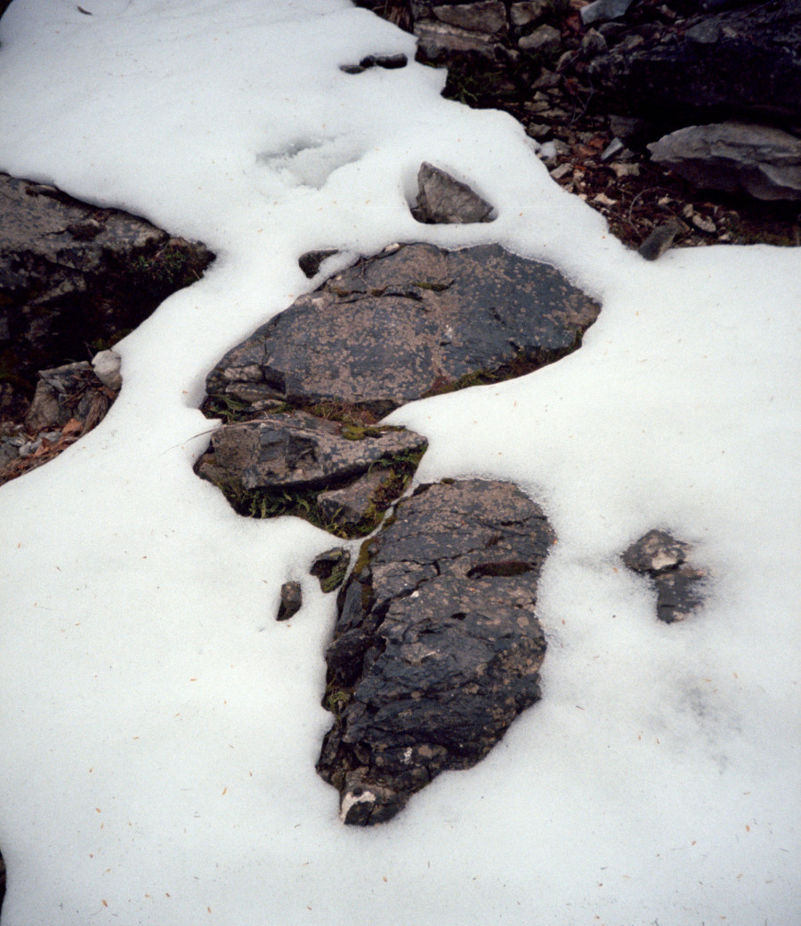 Philippe Durand - Neiges