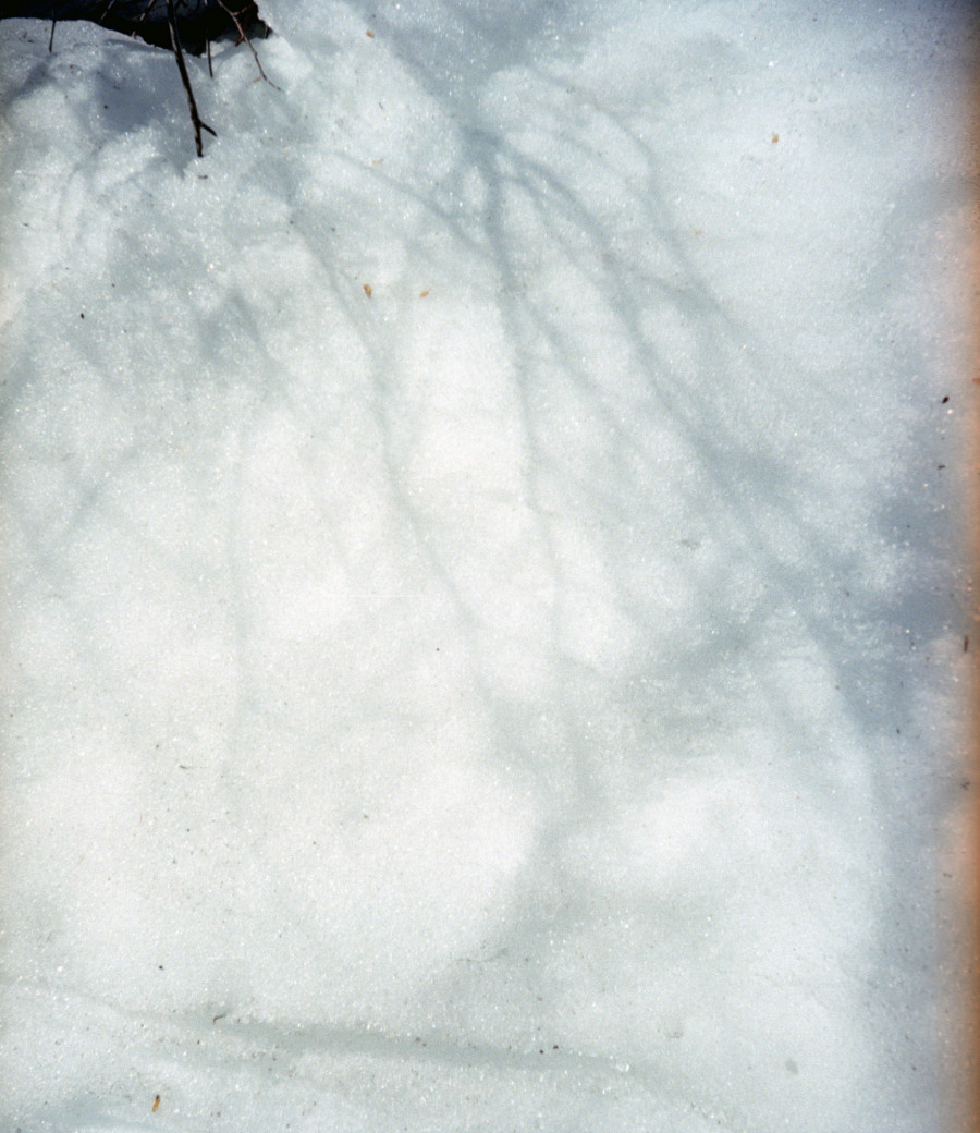 Philippe Durand - Neiges