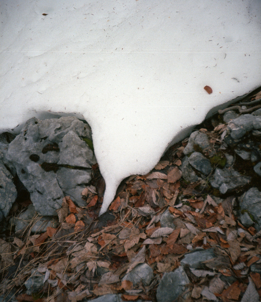 Philippe Durand - Neiges