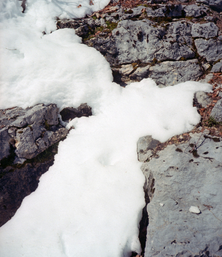 Philippe Durand - Neiges