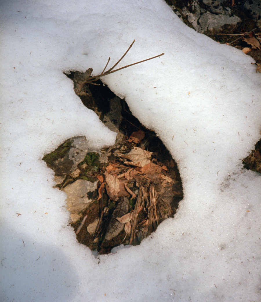 Philippe Durand - Neiges