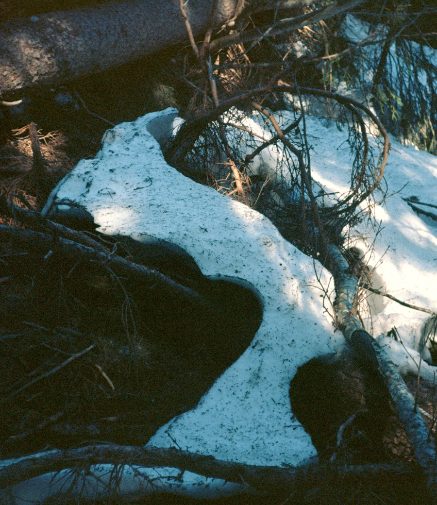 Philippe Durand - Neiges