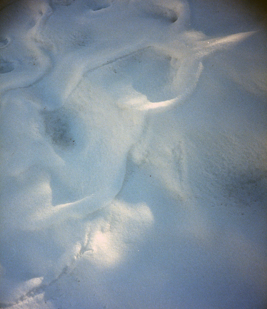 Philippe Durand - Neiges